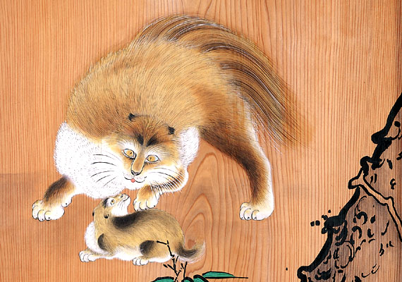 三方正面真向の猫