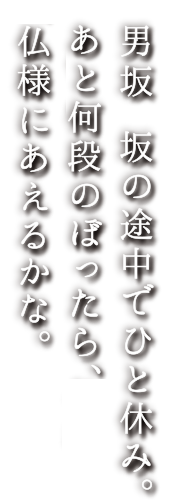 男坂　坂の途中でひと休み。あと何段のぼったら、仏様にあえるかな。