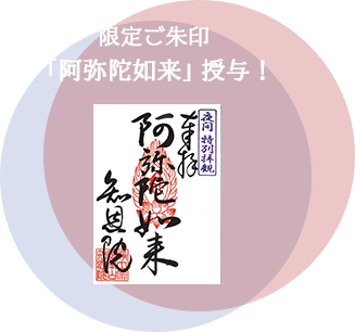 限定ご朱印「阿弥陀如来」授与！