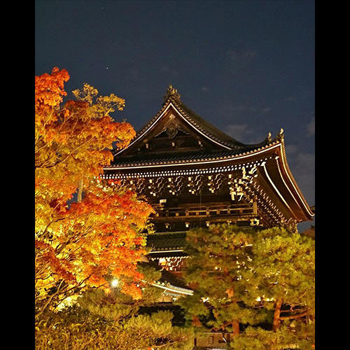 特別賞