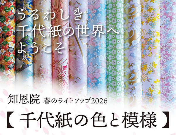 ライトアップ同時開催企画展示 千代紙の色と模様