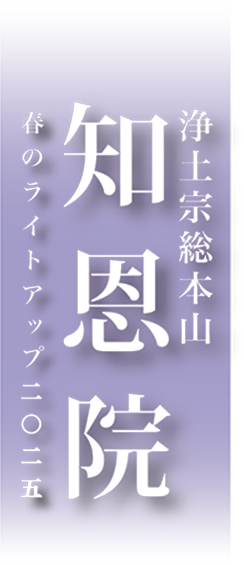 知恩院 春のライトアップ2025