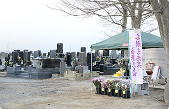 復旧した照徳寺墓地