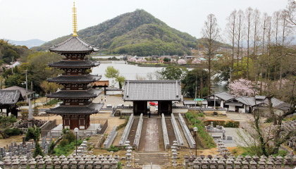 美しい眺めの境内。法然上人800年遠忌記念事業として、平成23年に建立された五重塔がそびえる